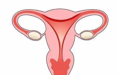 一侧输卵管通畅，还能怀孕吗？