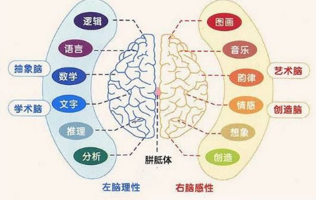 孩子右脑开发的4大好处：天才都是用右脑思考的！