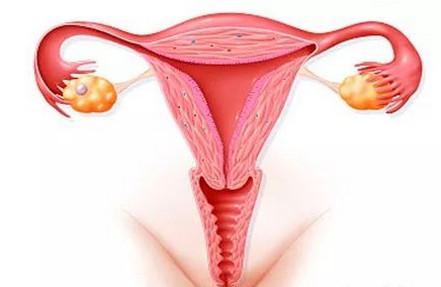 顺产妈妈的烦恼你懂吗？有什么办法恢复阴道？