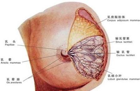涨奶皮肤痒是怎么回事 这些因素在作祟