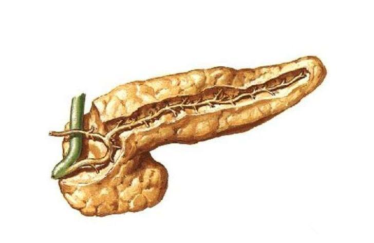 小儿胰腺炎是怎么引起的 怎么预防