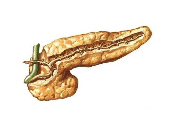 小儿胰腺炎是怎么引起的 怎么预防