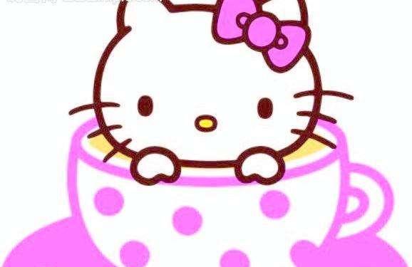 猫哥哥的故事