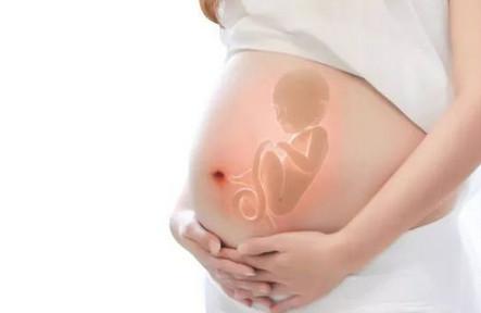 孕吐越严重，宝贝越聪明？真相是什么？