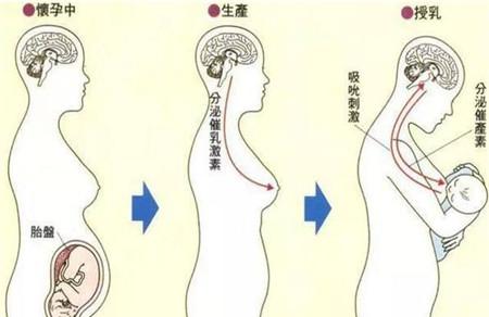开奶前有什么症状 开奶征兆要知晓