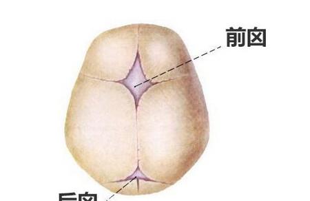 宝宝囟门什么时候闭合最好？