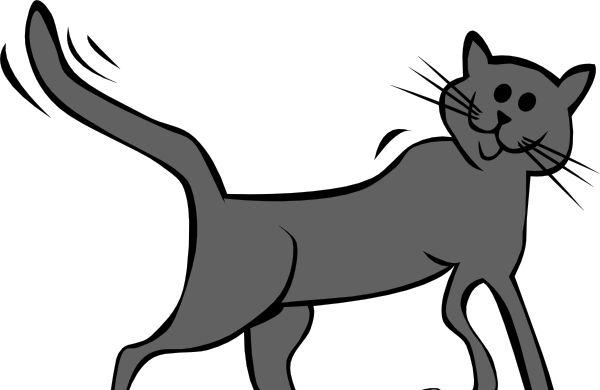 风琴猫的故事