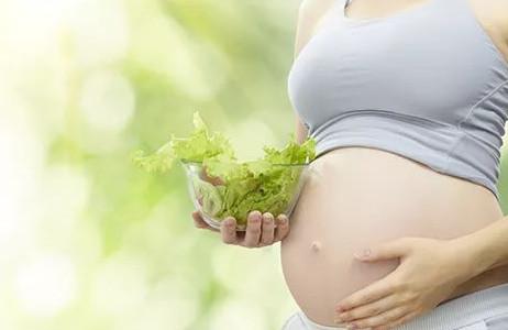 孕妇DHA什么时候开始吃呢？错过了时间后悔莫及！