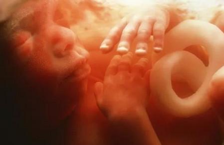 关于胎儿智力发育，孕期这个月很关键！