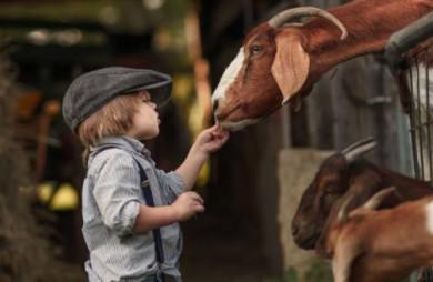 孩子，你最大的底气是“独立”！