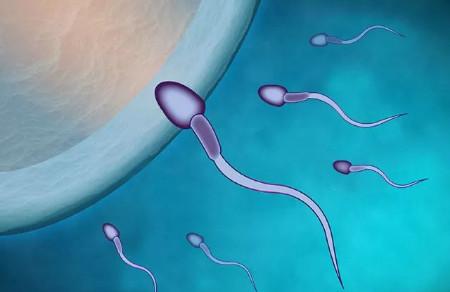 精子越多越好？错！精子多也会不好怀孕？