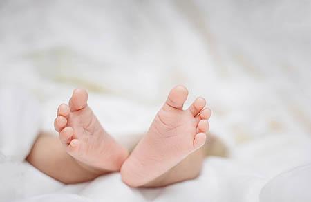 百立乐婴幼儿奶粉怎么样