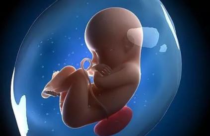 胎停育，是哪些原因引起的呢？