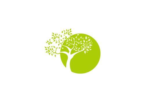 寻找运气的人的故事