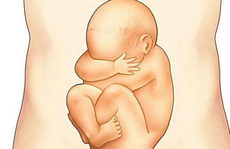 胎宝宝在出生时有多努力，孕妈你知道吗？