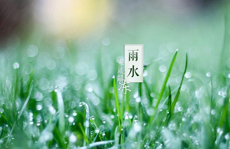 关于雨水节气的古诗