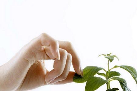 春节是心脑血管疾病高发期，父母的这7种行为最危险！