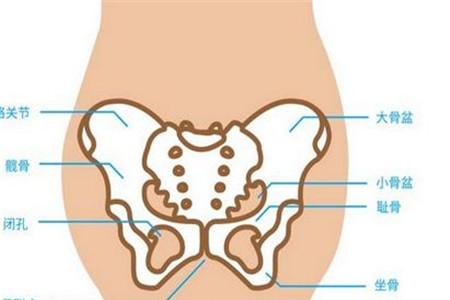 胎头位于耻上是什么意思 产检数据定义要知晓