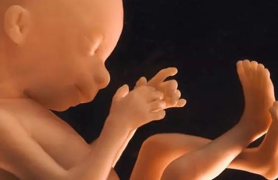 春节期间腹中胎儿最怕什么？这几件事，孕妈妈一定要远离！