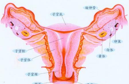 女性睡姿不正确会导致不孕吗？