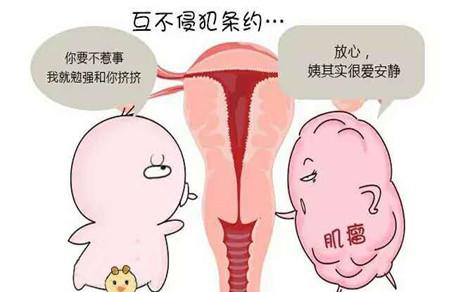 宫底肌瘤影响怀孕吗 女性朋友要警惕