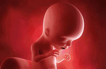 发生胎停育后该怎么治疗，要注意什么？