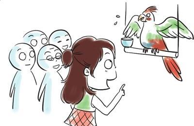 鹦鹉谋生的故事