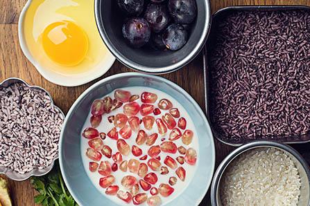 大班语言十二生肖教案