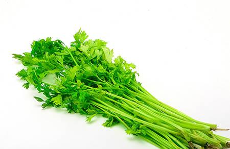 优能佳羊奶粉多少钱一罐