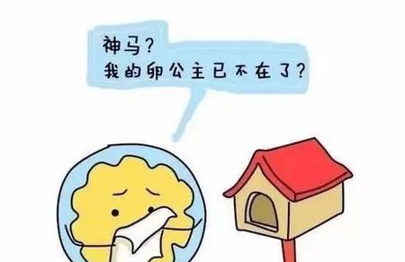 受孕力普遍下降，到底是怎么回事呢？