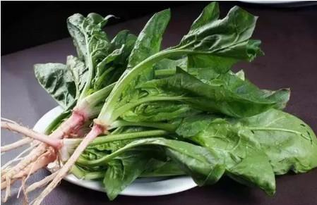 让孩子越吃脾胃越棒的10种食物！