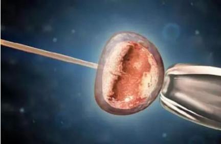 移植前出现这两种情况下可能会无胚胎可用！