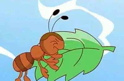 小蚂蚁是大力士吗的胎教故事