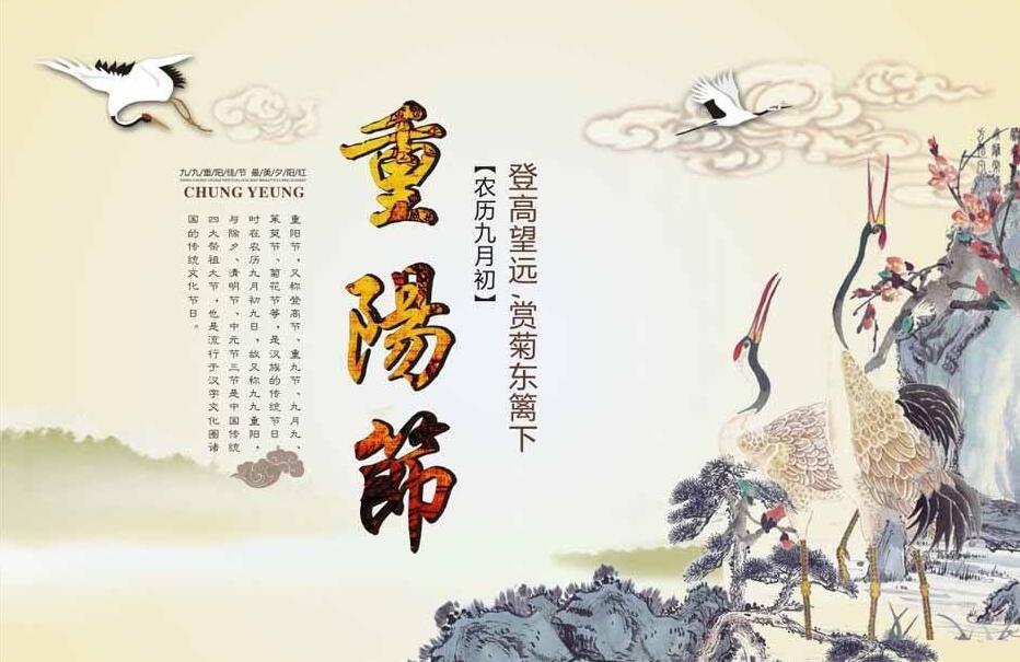 2018年重阳节出生的狗宝宝好不好