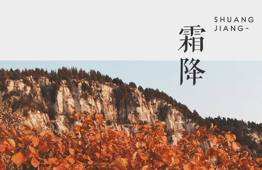 2018年霜降出生的狗宝宝好不好