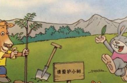 一片树叶的故事