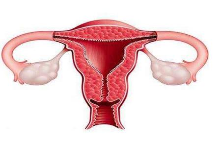 子宫内膜多厚算正常呢？