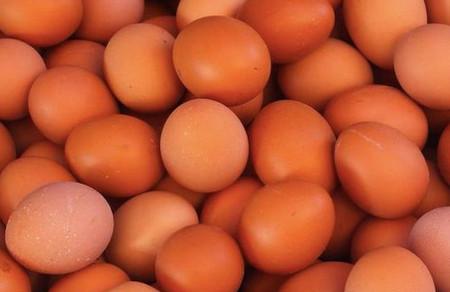 孕妈吃什么颜色的鸡蛋好？红皮鸡蛋真那么好吗？