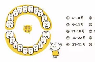 怎样让宝宝有一口好牙？看完你就知道了