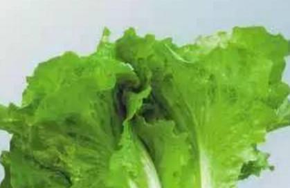 春季儿童所需蔬菜排行榜！你给孩子吃了多少？