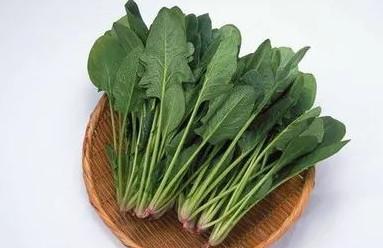 春天来了，宝宝吃哪些食物好呢？