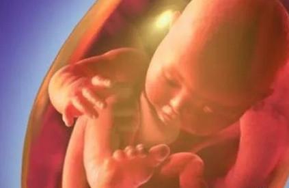 怀孕后胎儿有这6种表现，说明宝宝是个“调皮鬼”！
