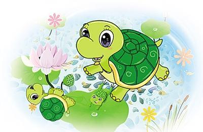 爱花的小乌龟的故事