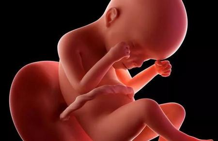 你知道胎儿性别是什么时候形成的？医生来告诉你这个秘密！