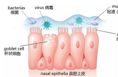 不同颜色的鼻涕，代表宝宝不同的疾病信号！