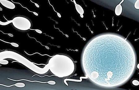 无精症，就不能有自己的亲生孩子了？