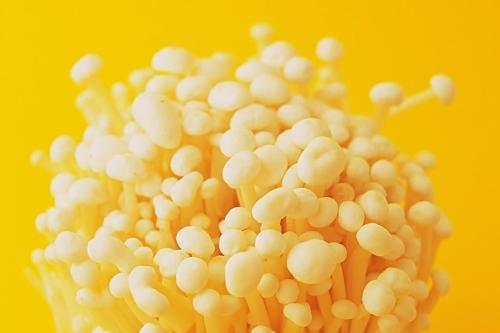 宝宝多大可以吃金针菇