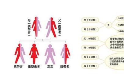 地中海贫血会遗传给小孩吗 你对地贫了解多少？