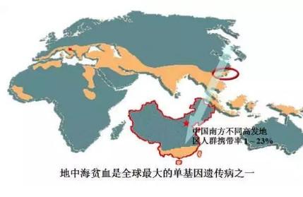 宝宝竟然有地中海贫血，能治好吗？