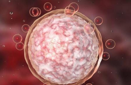 提高卵子受精率，怎么能少了这些！